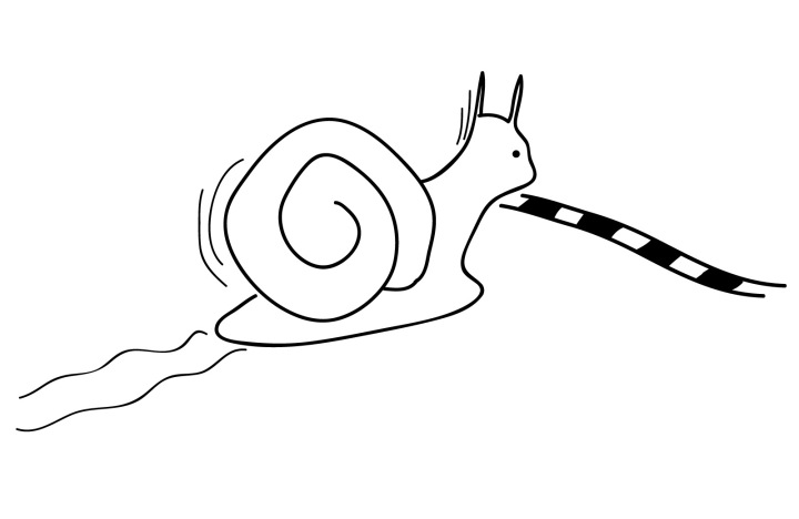Even the snail finishes the race.